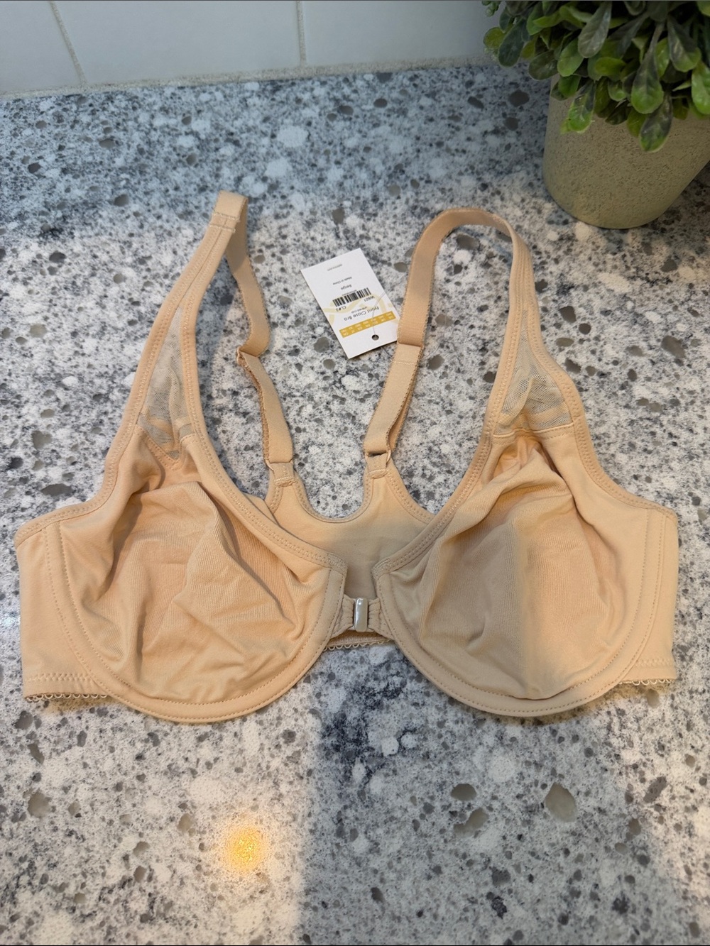 Delimira Lace-Trim Full Coverage front closure razor back size 34D beige